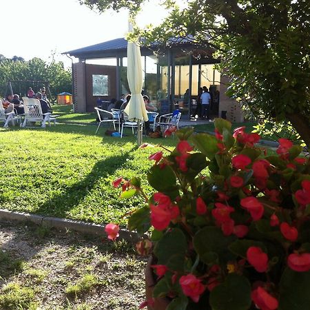 Agriturismo Accipicchia Ancona Kültér fotó